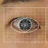 算法从眼睛图像中发现COVID-19病例:预打印