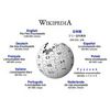 维基百科是一个自己成功的受害者吗？