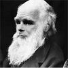 “完美而美丽的机器”:达尔文的进化论揭示了人工智能