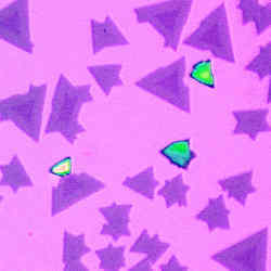 异质结构呈三角形;两种不同的单层半导体颜色不同。