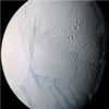 卡西尼号在土卫二的羽流中寻找生命的洞察力，土卫二是土星的冰卫星