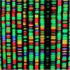 我们应该合成人类基因组吗?