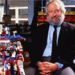 Seymour Papert,麻省理工学院