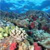 NASA测试夏威夷珊瑚礁的观察能力
