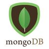 MongoDB的Javascript模糊器