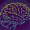 Deepmind创始人表示，要构建更好的计算机大脑，我们需要观察自己的大脑