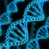 将数据存储在DNA中为数字宇宙带来了自然