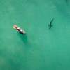 捕鲨ai算法将开始在澳大利亚海滩上空飞行