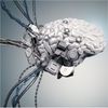 我们需要大脑植入来与机器人保持联系吗?