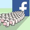 My Cow Game extract Your Facebook Data