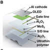 MoS2晶体管可用于可弯曲OLED显示器