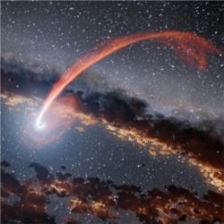 黑洞“吞噬”恒星