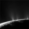 来自Enceladus的复杂有机物泡泡P.