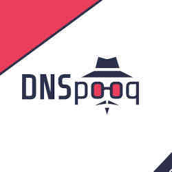 一个DNSpooq标志。