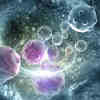 计算工具可靠地区分癌症，正常细胞从单细胞rna测序数据