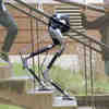 “盲人”机器人成功爬楼梯