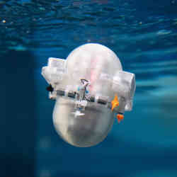 海洋中的无人驾驶机器人。