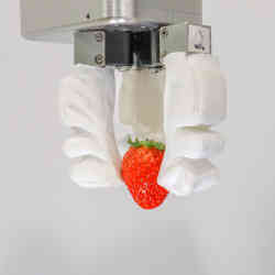 抓取草莓的机器人。