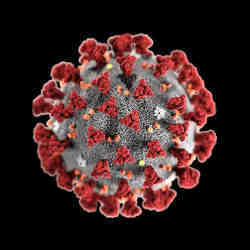 新型冠状病毒肺炎