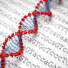 科学家完成了人类基因组最后8%的解码