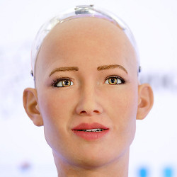 一个人形机器人的头和脸