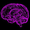 人工智能搜索大脑数据，发现精神疾病模式