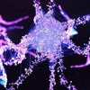 人工神经元与真实脑细胞交换多巴胺