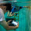 研究人员将水下通讯应用程序引入智能手机