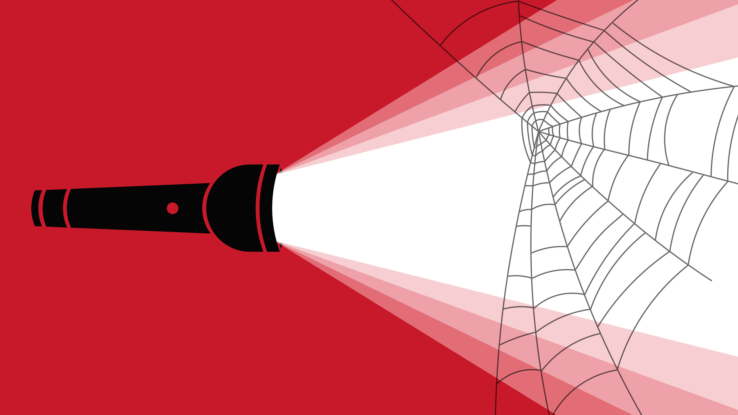 手电筒在蜘蛛网上闪亮,插图